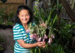 Garden_473401_05