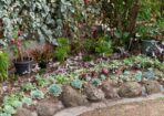 Garden_473401_07