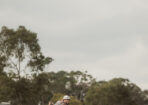 rodeo_473538_04
