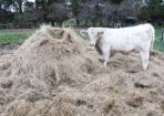 Drought_478586_01