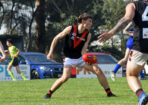 EDFLbunND_475420_15