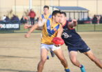 cranbourne_480625_02