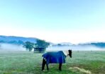 frost_480592_07