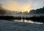 frost_480592_13