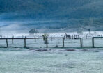frost_480592_20