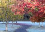 frosty_480028_01