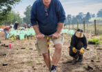 planting_475288_02