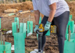 planting_475288_05
