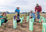 planting_475288_06