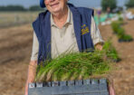 planting_475288_07