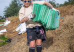 planting_475288_08