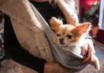 FrankC_481774_04