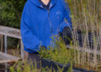 OTLweeds_481485_12