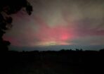aur_482259_02
