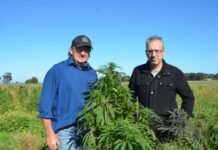 Vervale hemp business wins VCAT approval