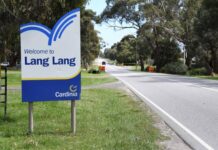 Lang Lang artwork questioned amid imminent completion
