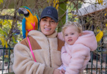 Unexpected winter wonders