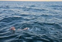 Head above water: a local swimmer’s cold, quiet, almost