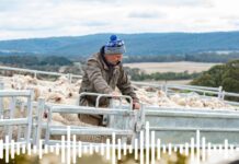 Farm safety: from the paddock gate to the kitchen table