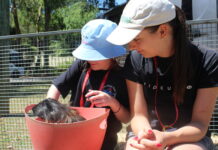 A shot at changing lives