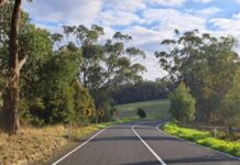 Trees, $1mil saved, says council