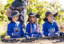 Growing minds and green spaces with Schools Tree Day