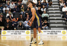 Multiple Warriors highlighted in Big V award nominations