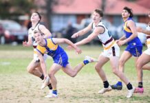 Noble survives a Stern test