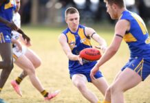 Charging Bulls roll Balwyn