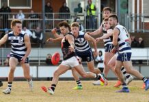 Panthers on the prowl