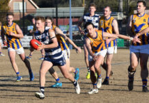 In-form Eagles soaring