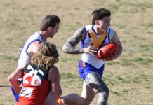 Lions building confidence