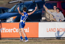 Tigers and Bloods shake up ladder in hot sprint to finals
