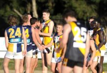 Young ruck progressing