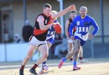 Kangaroos push Bombers to brink with big result at home