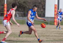 Gallant Kangaroos add one more twist to Premier finals race