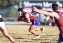 Lions falter on eve of finals