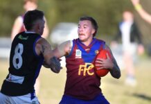 Lethal Lions looming large