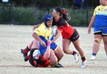 Eels shining in the spotlight