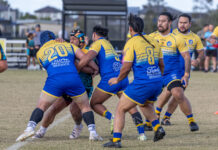 Wolves keep energetic Eels at bay