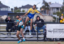 Slippery slope ends for Eels