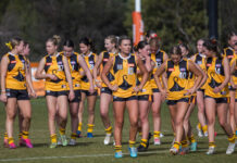 Rays girls in stinging form