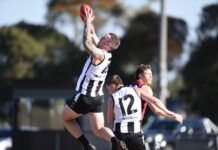 Strong start sets up victory