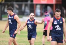 Springy the superior Demons