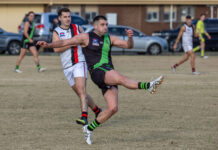 Stapleton to lead Doves into third season