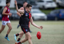 Redbacks rise over Dolphins
