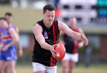 Redbacks crowned minor premiers