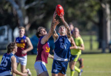 Happy Hawks still undefeated after dominating Saints