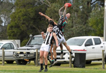 Nathan Gardiner breaks Cora Lynn club record