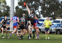 Last-quarter masterclass earns Cobras one-week redemption